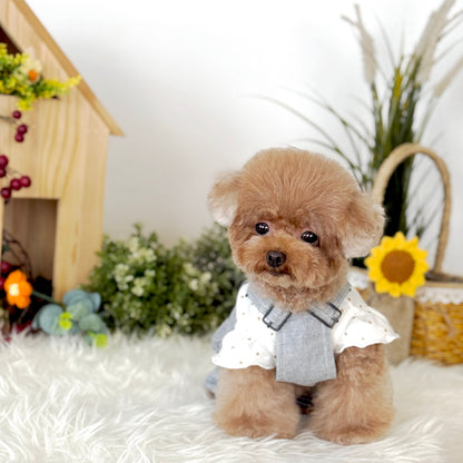 Pawsicle Dungaree Jumpsuit