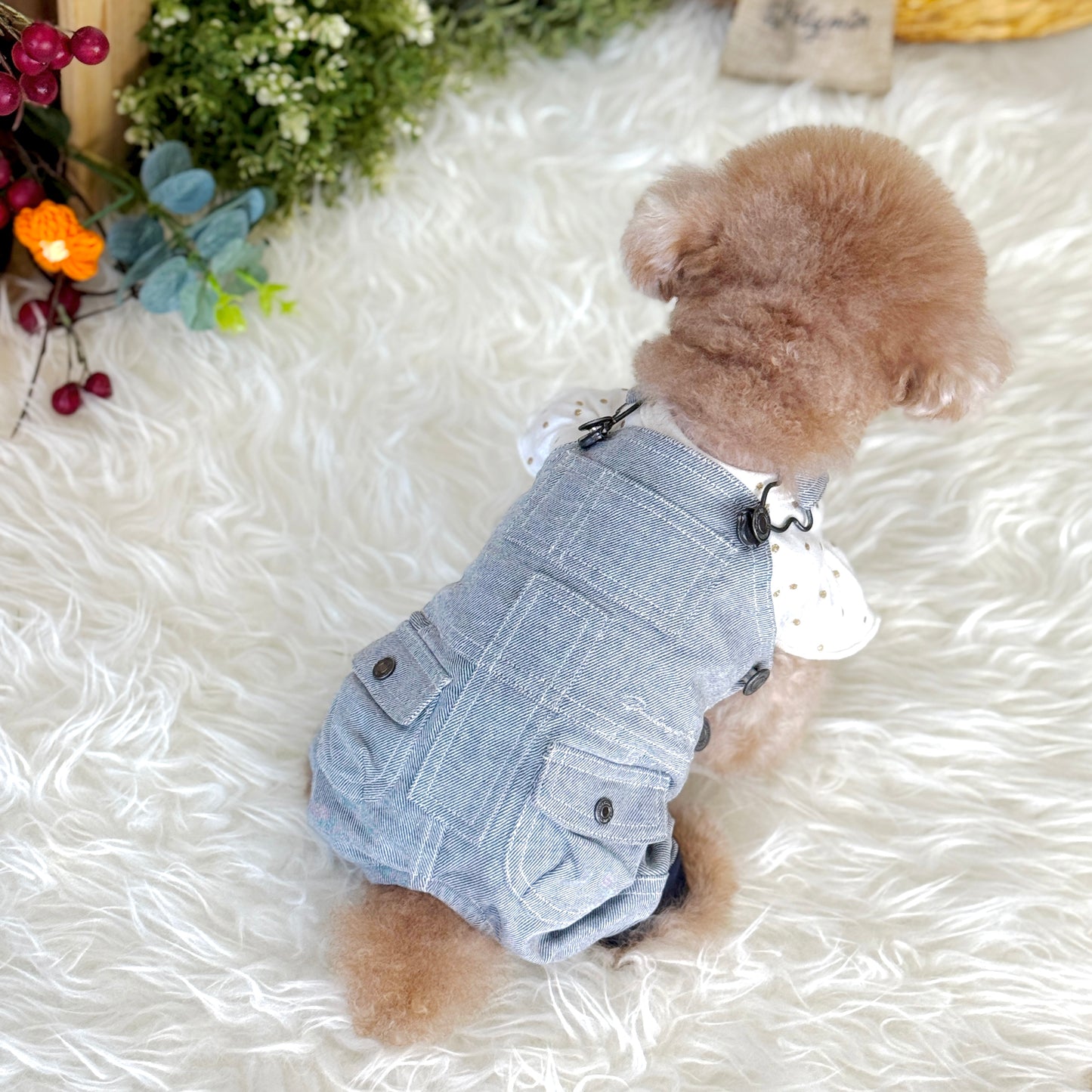 Pawsicle Dungaree Jumpsuit