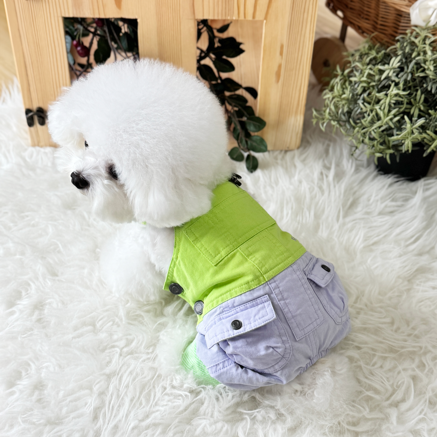 Pawsicle Dungaree Jumpsuit