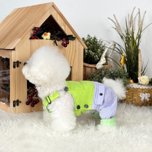 Pawsicle Dungaree Jumpsuit