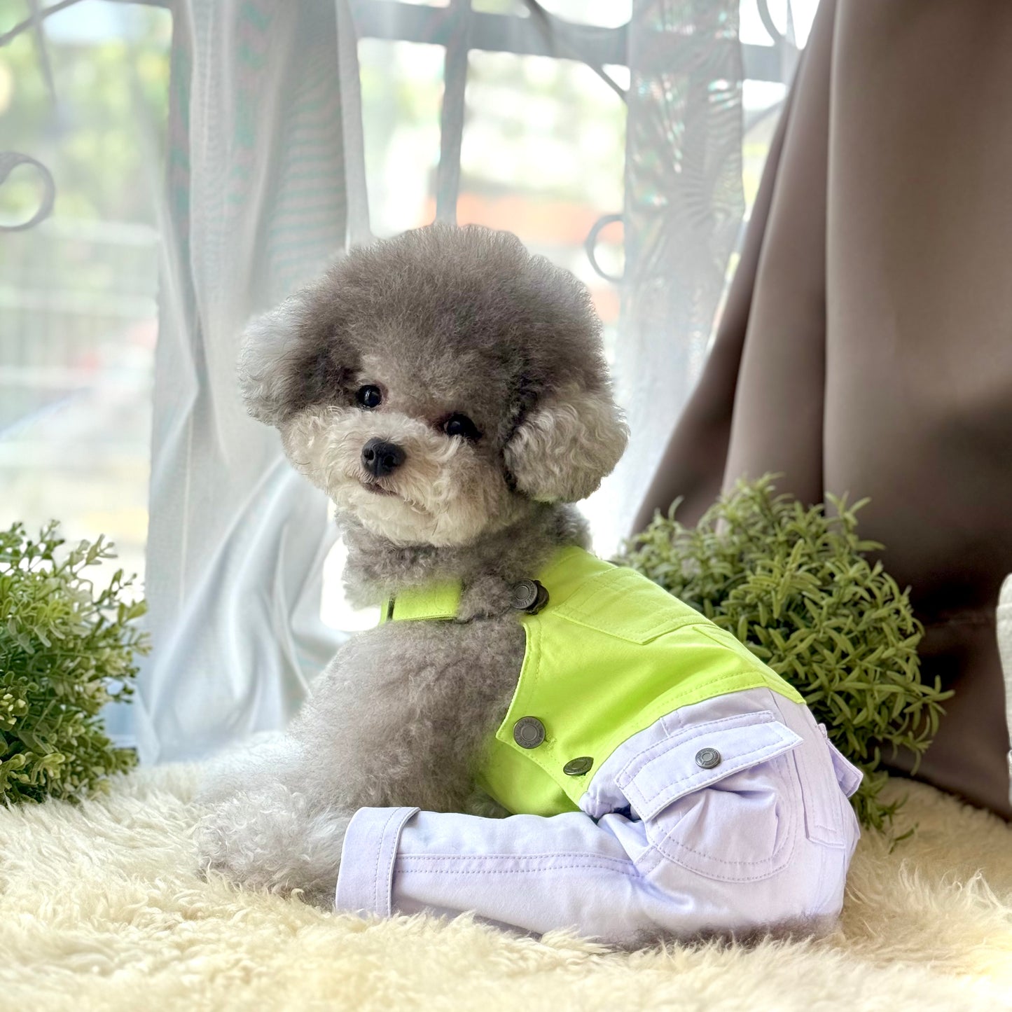 Pawsicle Dungaree Jumpsuit