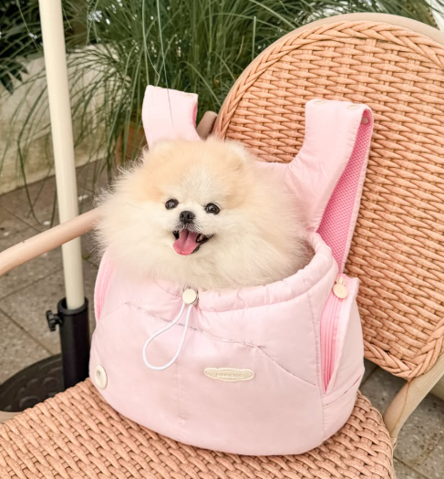 Bebe Front-Carry Pet Carrier