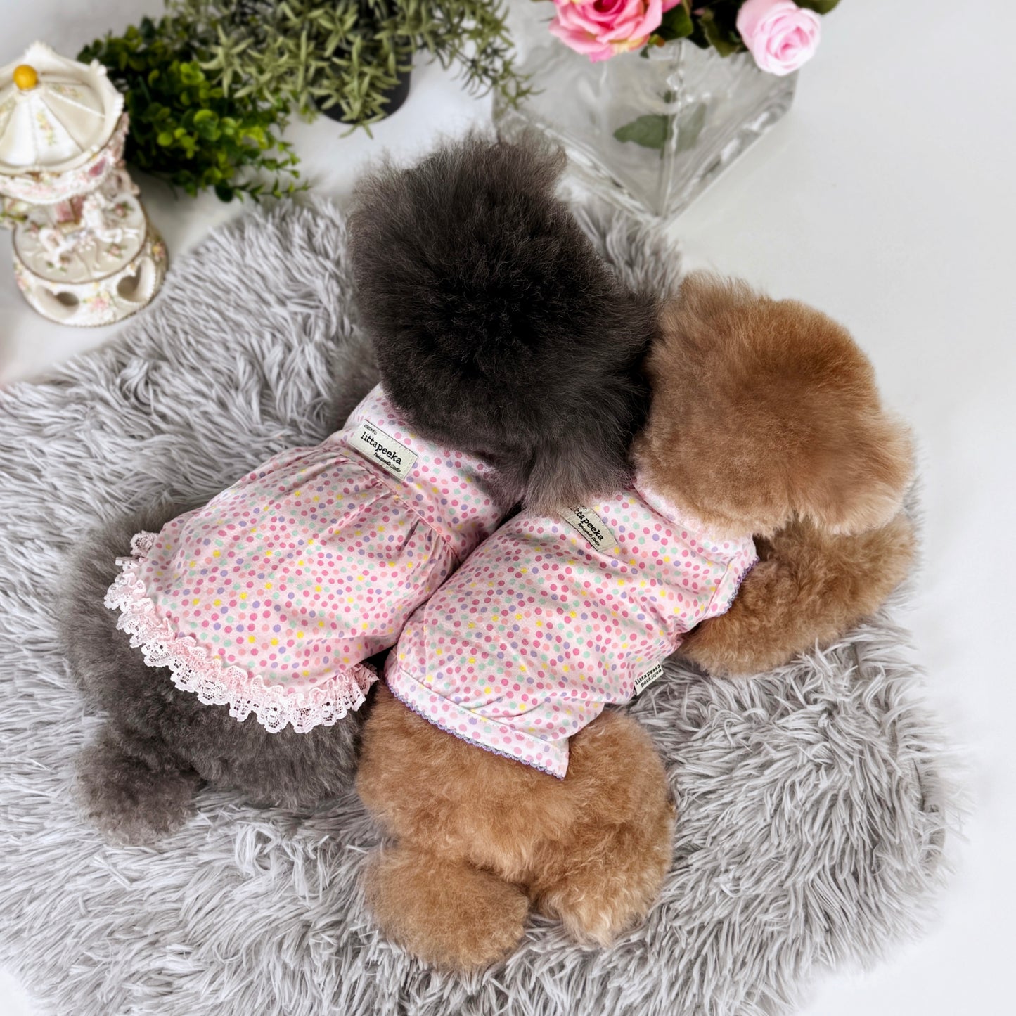 Rainbow Sprinkle Couple Wear