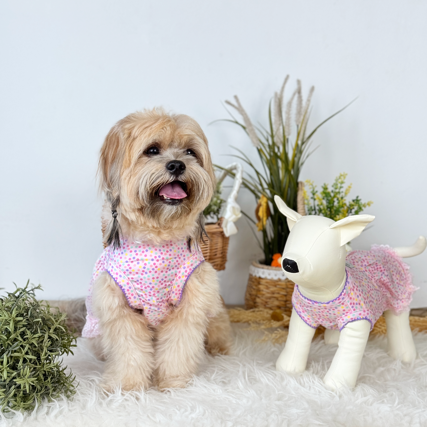 Rainbow Sprinkle Couple Wear