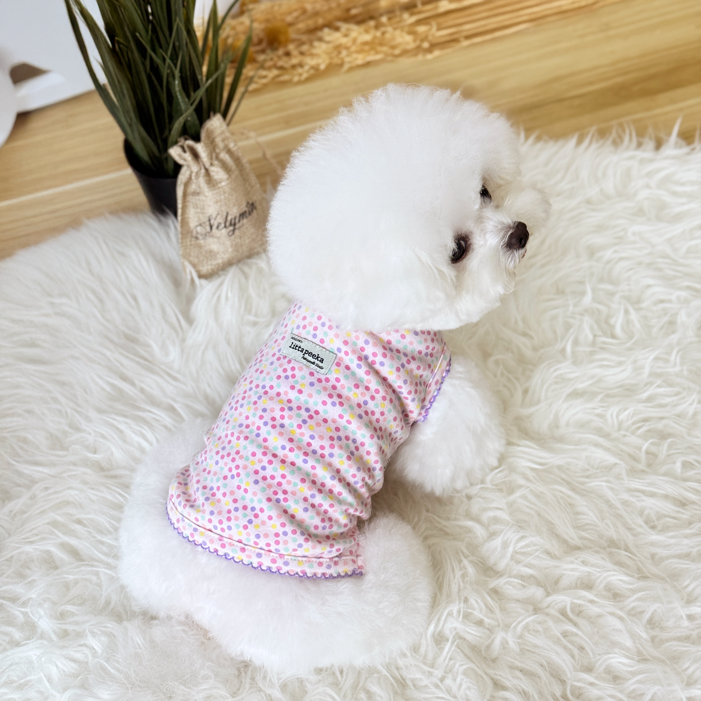 Rainbow Sprinkle Couple Wear