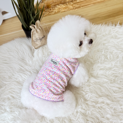 Rainbow Sprinkle Couple Wear