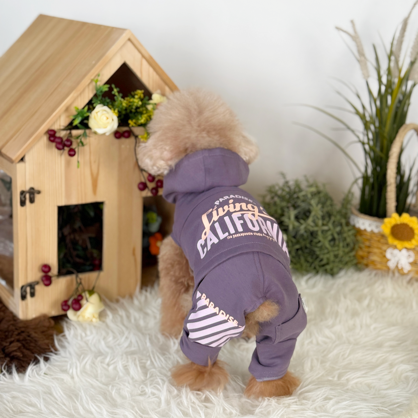 Cali Hoodie Pants Two-Piece Set