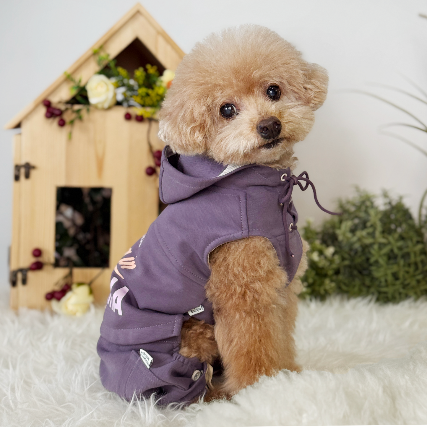 Cali Hoodie Pants Two-Piece Set