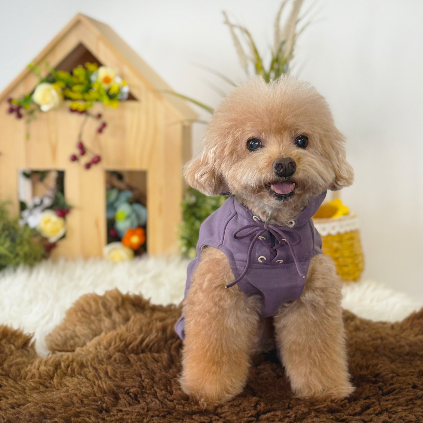 Cali Hoodie Pants Two-Piece Set