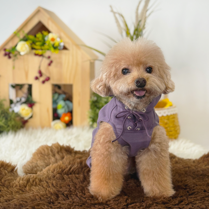 Cali Hoodie Pants Two-Piece Set