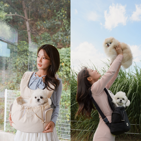 Bebe Front-Carry Pet Carrier