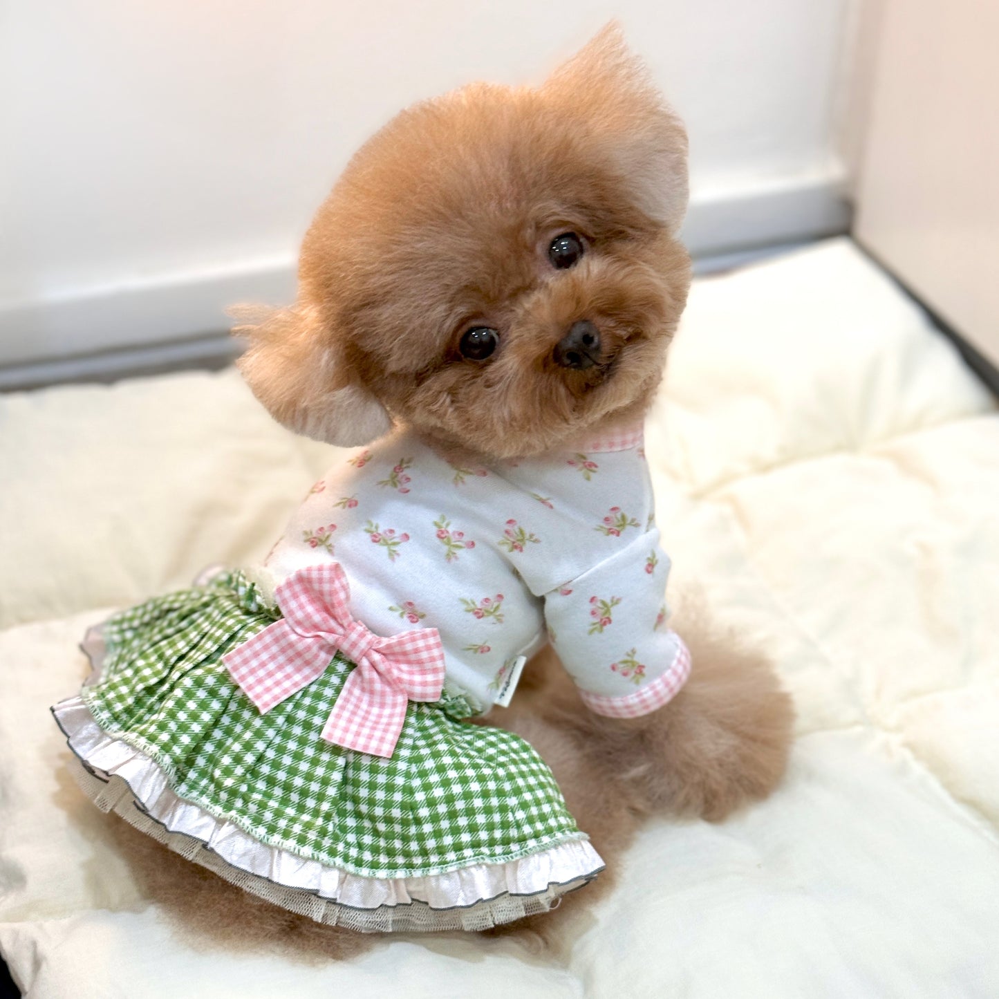 Garden Party Dress
