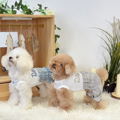 Loti (Cream Teacup Poodle) and Lilo (Red Teacup Poodle) wearing highly-breathable, elastic and Interchangeable denim outfits sets (Hickory-Stripe Two Piece Set and Washed Grey Denim Two-Piece Set Couplewear) from Velymon SG standing in a living room setting