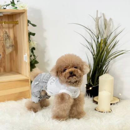 Lilo (Red Teacup Poodle) wearing a highly-breathable, elastic and Interchangeable denim outfit from Velymon SG standing in a living room setting