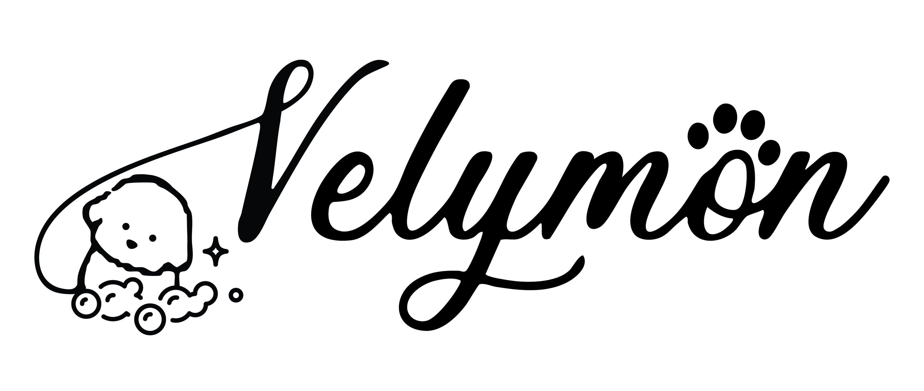 Velymon_Logo_JPG-01.jpg__PID:6e2d5f5a-0870-44fa-9fd4-4fce013dd9c2