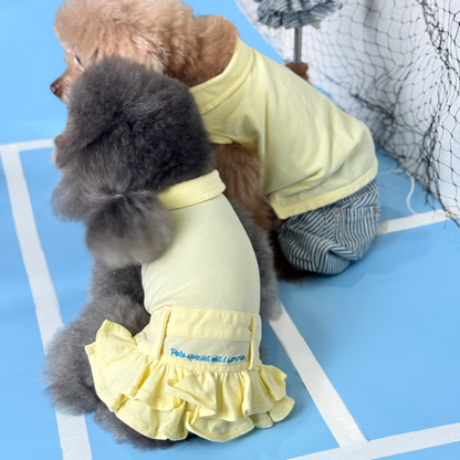Luna (Silver Teacup Poodle), and Shinee (Red Toy Poodle), wearing the Yellow Tennis Polo Tee (Available in 3 Colours) paired with the Hickory-Stripe Jeans (Part of the Hickory-strip Jeans Two-Piece Set, Available in other Designs), and the Yellow Polo Dress (Available in 3 Colours) sold at Velymon SG sitting in a Blue Tennis Court