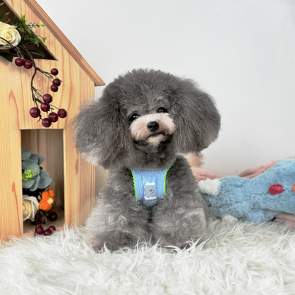 Luna (Silver Teacup Poodle) wearing a cozy, blue Sleeveless Singlet top - 520 Chingu Top (Available in 4 Colours) sold at Velymon SG.