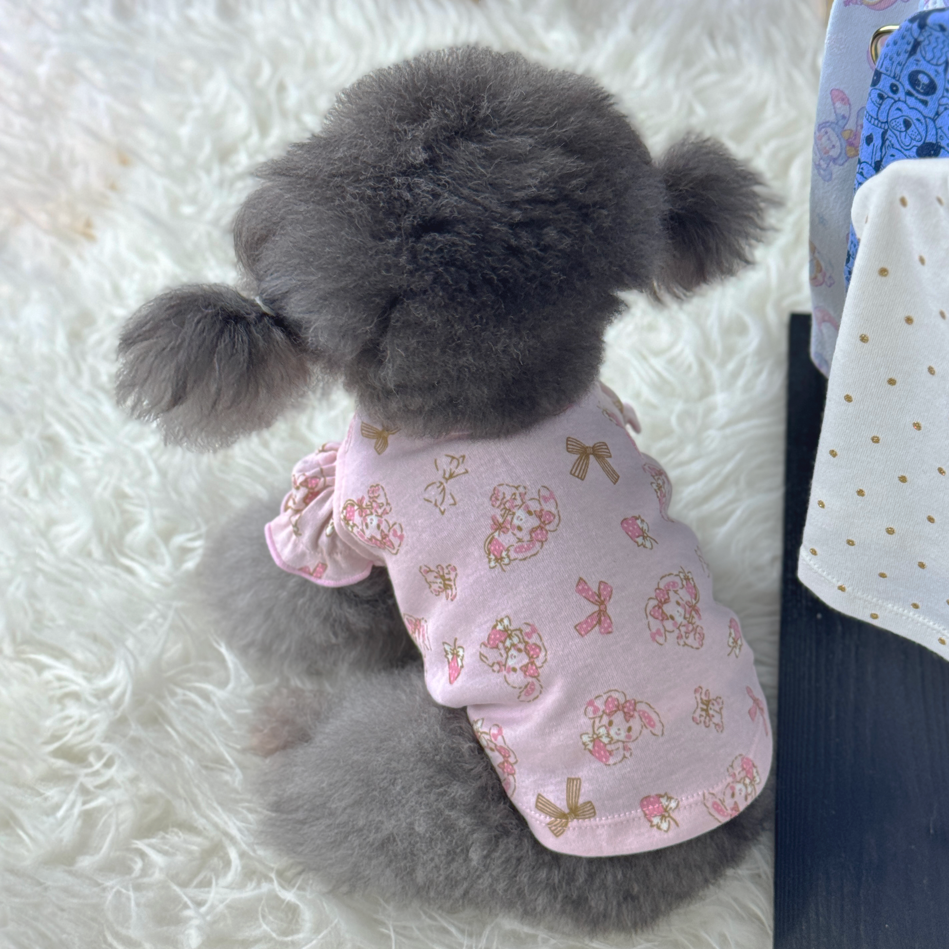 Luna (Silver Teacup Poodle) wearing the Puffy Bunny Love Interchangeable Tee (Available in Other Designs) sold at Velymon SG