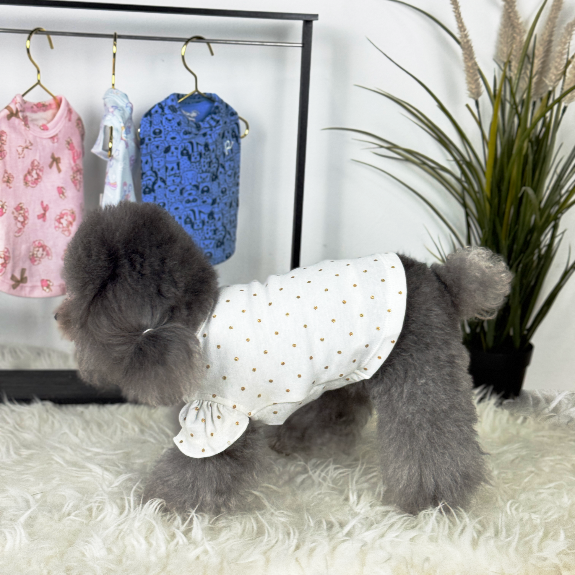 Luna (Silver Teacup Poodle) wearing the Puffy-Sleeved Gold Speckles Tee (Available in more Designs) sold at Velymon SG in a changing room setting