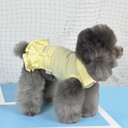 Luna (Silver Teacup Poodle) wearing the Yellow Tennis Polo Dress (Available in 3 Colours) sold at Velymon SG sitting in a Blue Tennis Court
