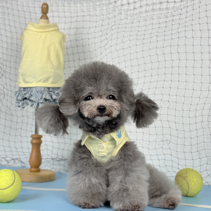Luna (Silver Teacup Poodle) wearing the Yellow Tennis Polo Dress (Available in 3 Colours) sold at Velymon SG sitting in a Blue Tennis Court