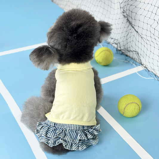 Luna (Silver Teacup Poodle) wearing the Yellow Tennis Polo Tee (Available in 3 Colours) paired with  the Hickory-Stripe Denim Skirt (from the Hickory-Stripe Denim Skirt Two-Piece Set) sold at Velymon SG sitting in a Blue Tennis Court