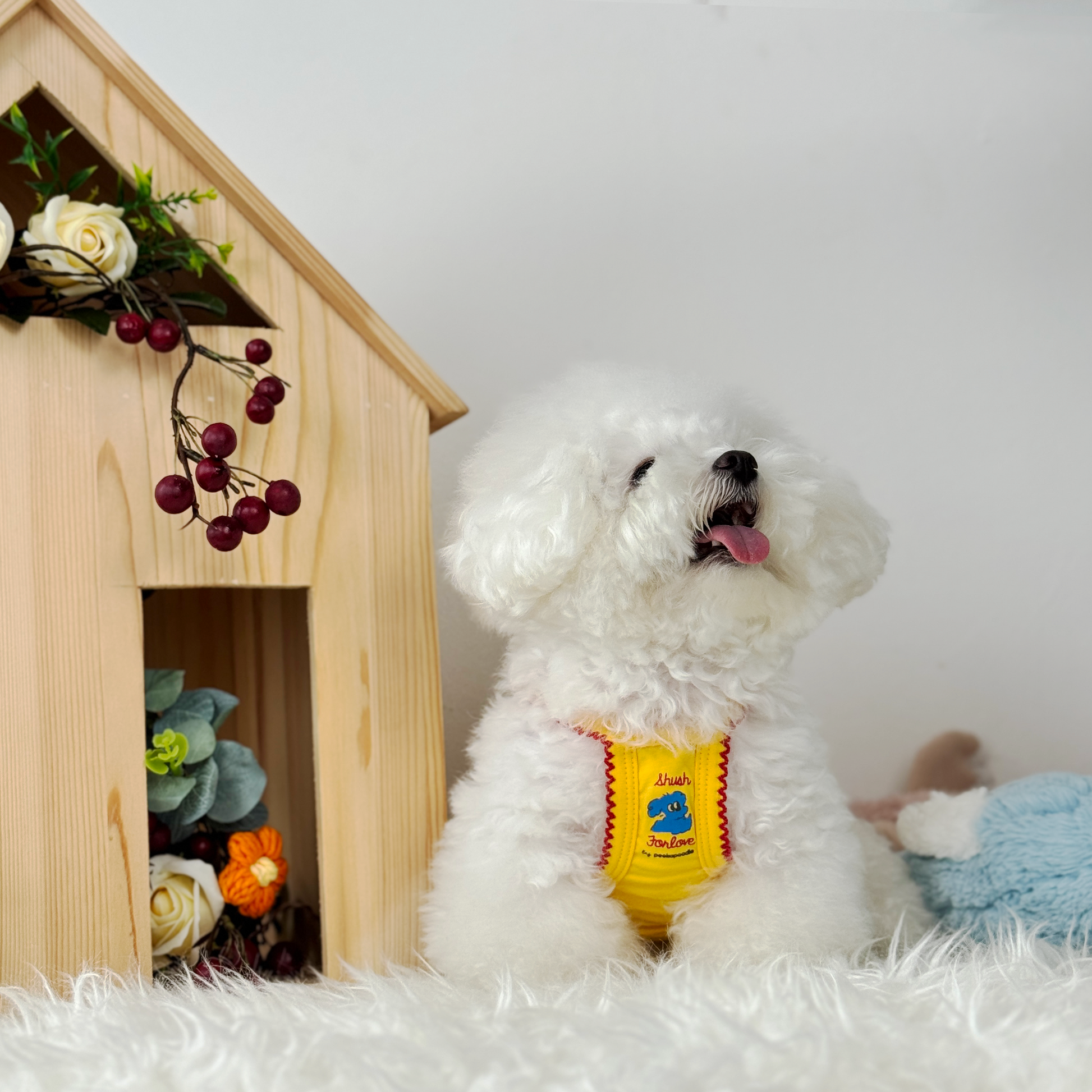 Mochi (Teacup Bichon) wearing a cozy, yellow Sleeveless Singlet top - 520 Chingu Top (Available in 4 Colours) sold at Velymon SG.
