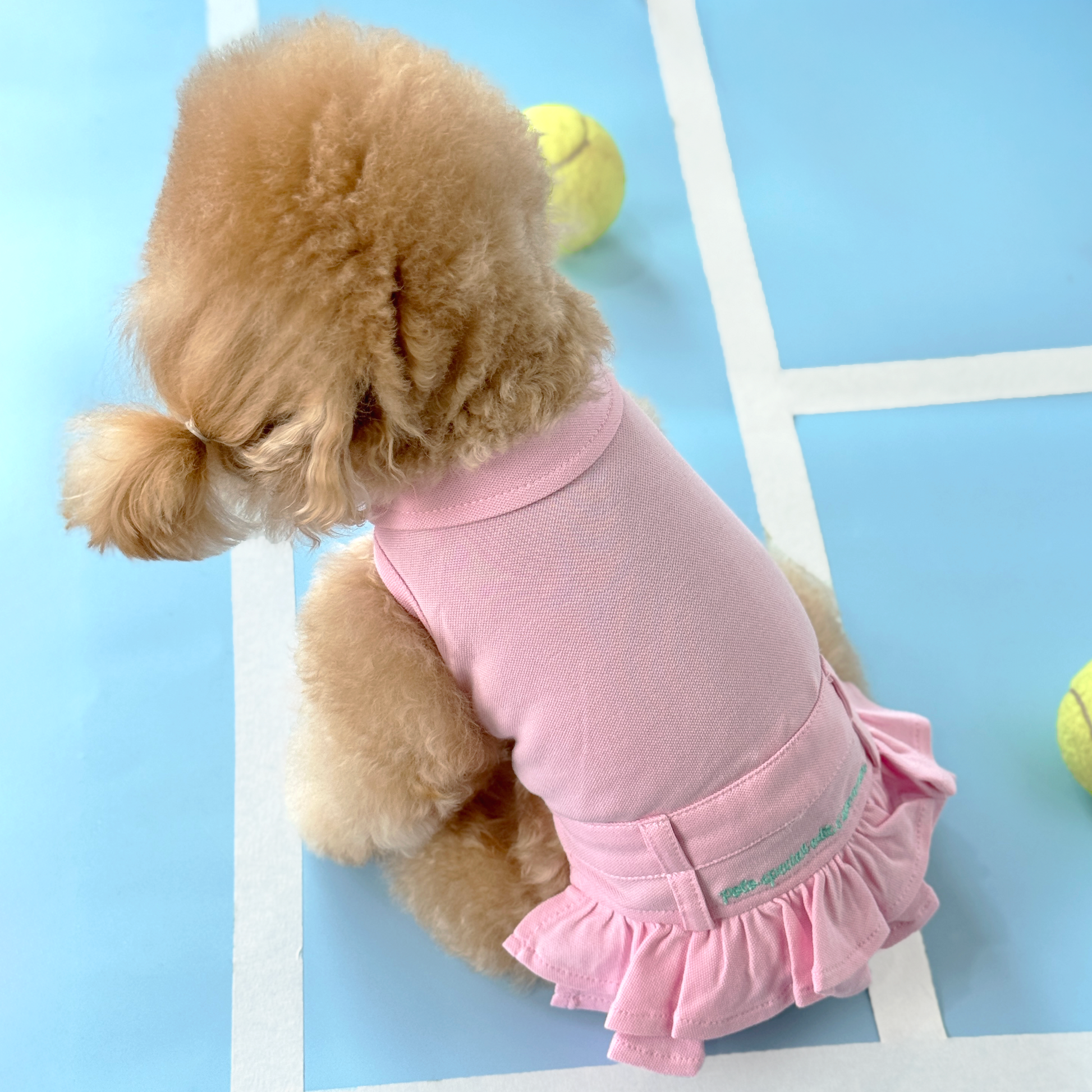 Mui Mui (Apricot Tiny Toy Poodle) wearing the Pink Tennis Polo Dress (Available in 3 Colours) sold at Velymon SG sitting in a Blue Tennis Court