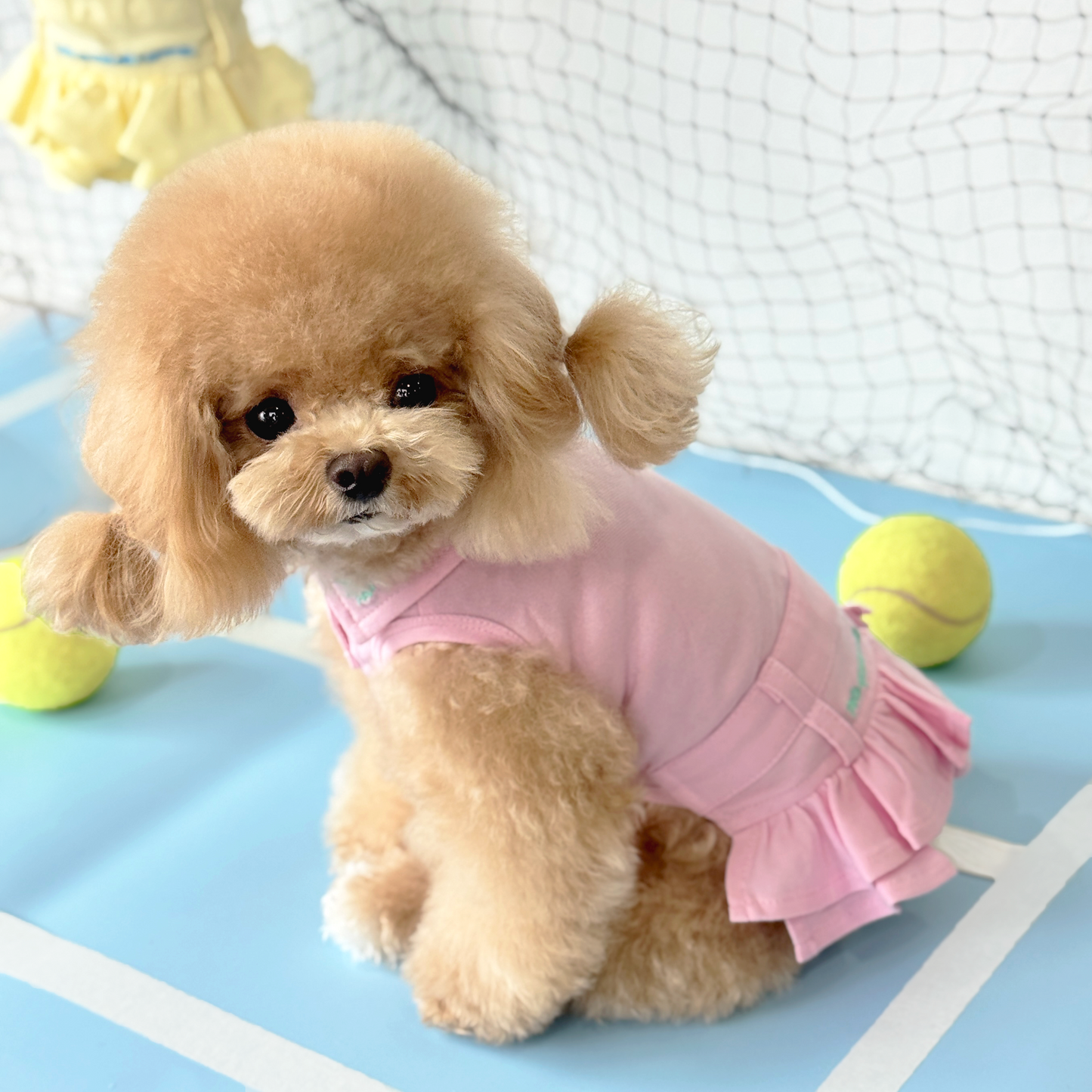 Mui Mui (Apricot Tiny Toy Poodle) wearing the Pink Tennis Polo Dress (Available in 3 Colours) sold at Velymon SG sitting in a Blue Tennis Court
