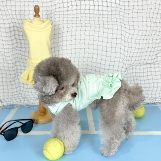 Nyxie (Silver Tiny Toy Poodle) wearing the MInt Tennis Polo Dress (Available in 3 Colours) sold at Velymon SG sitting in a Blue Tennis Court