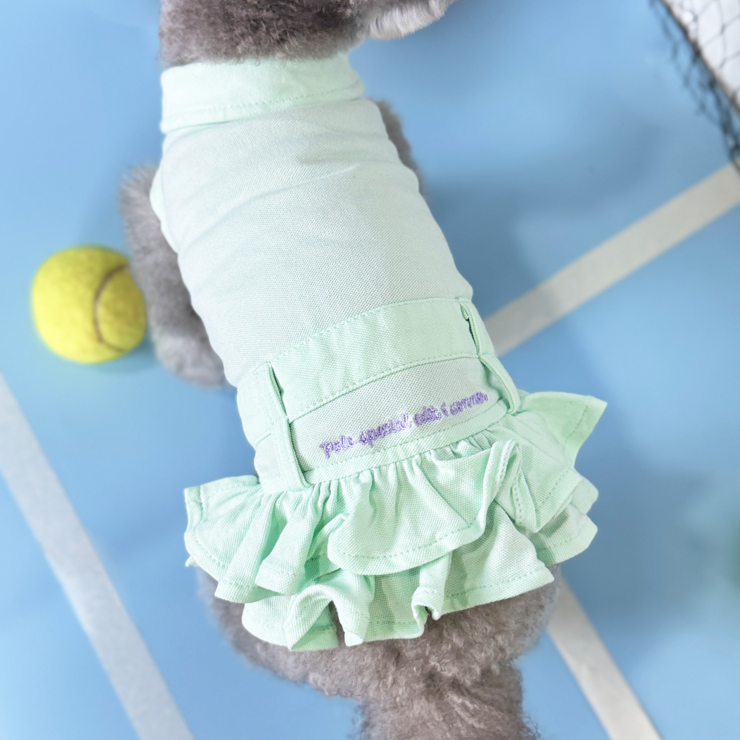 Nyxie (Silver Tiny Toy Poodle) wearing the MInt Tennis Polo Dress (Available in 3 Colours) sold at Velymon SG sitting in a Blue Tennis Court