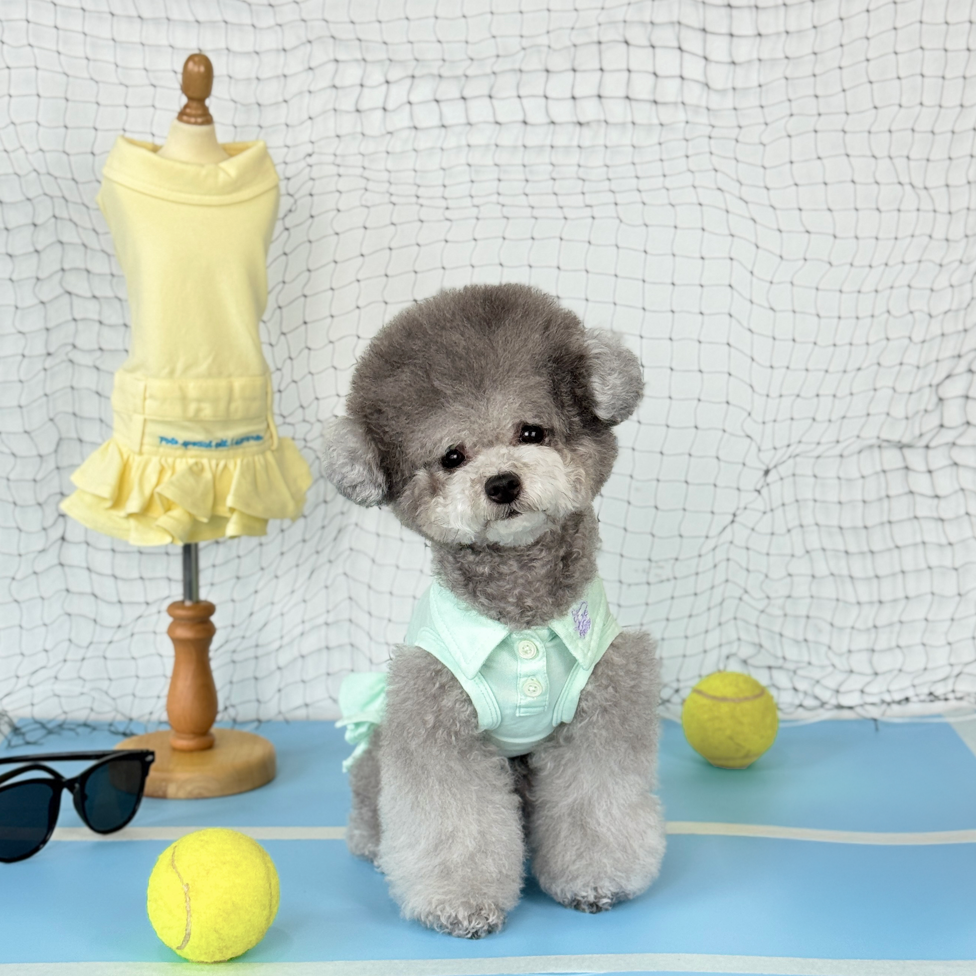 Nyxie (Silver Tiny Toy Poodle) wearing the MInt Tennis Polo Dress (Available in 3 Colours) sold at Velymon SG sitting in a Blue Tennis Court
