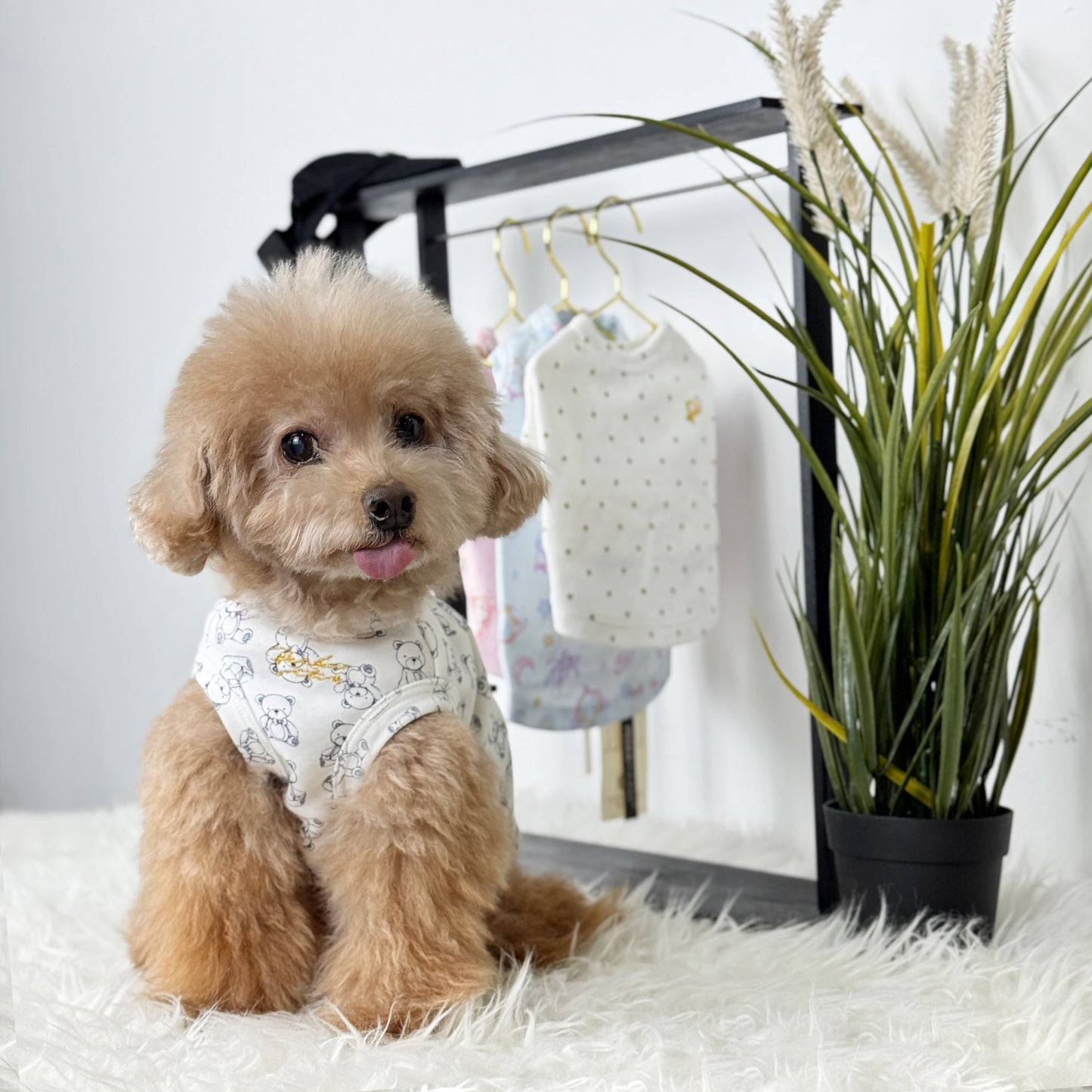 Shinee (Red Toy Poodle) wearing a white top with teddy bear print pattern - Teddy Baby Sleeveless Tee (also available in other designs) sold at Velymon SG