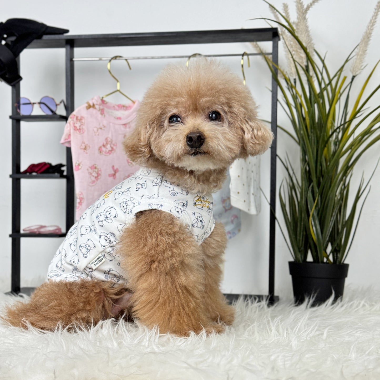 Shinee (Red Toy Poodle) wearing a white top with teddy bear print pattern - Teddy Baby Sleeveless Tee (also available in other designs) sold at Velymon SG