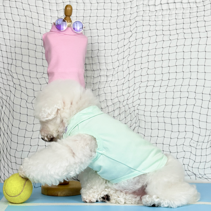Yuki (White Toy Poodle) wearing the Mint Tennis Polo Tee (Available in 3 Colours) sold at Velymon SG sitting in a Blue Tennis Court