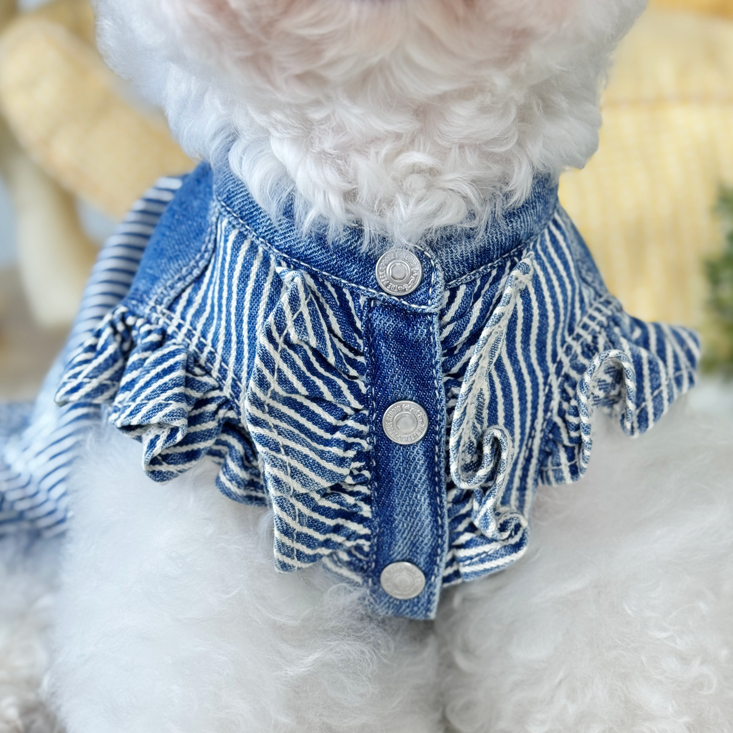 Yuki Denim Ruffle Dress