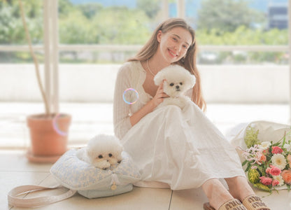 Pogni Attobag Cushion Bag / Shoulder Carry Two-in-One Pet Carrier Bed